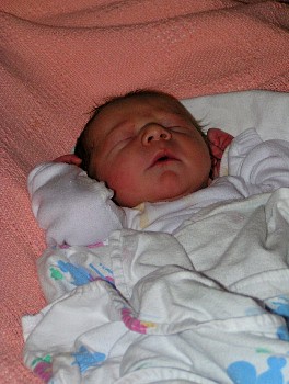 PICT0109.JPG