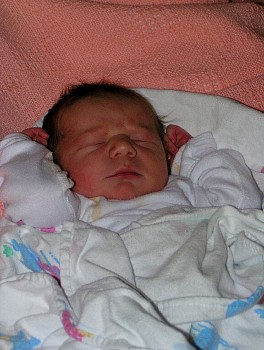 PICT0110.JPG