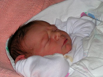 PICT0111.JPG