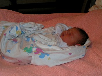 PICT0115.JPG