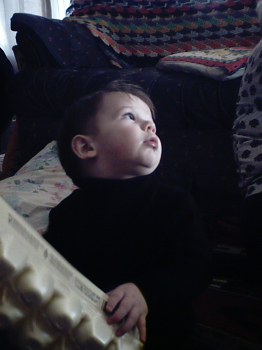 DSC02461.JPG