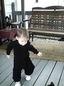 DSC02461.JPG