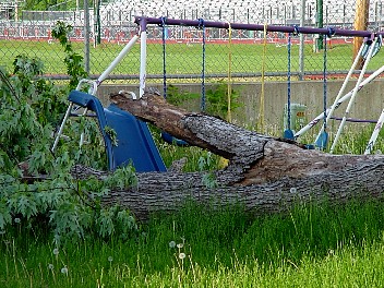 DSC02460.JPG