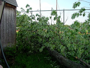 DSC02462.JPG