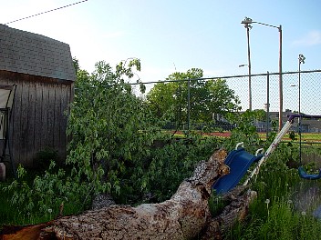 DSC02464.JPG