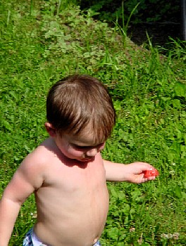 DSC02504.JPG