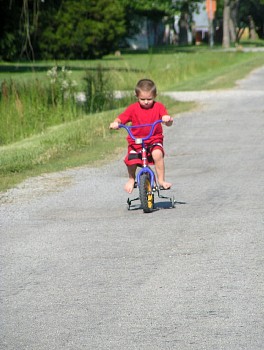 PICT0651.JPG