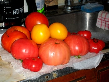 Canning01.jpg