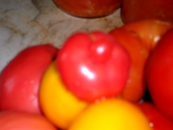 Canning02.jpg