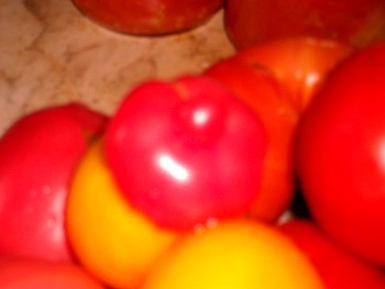 Canning03.jpg