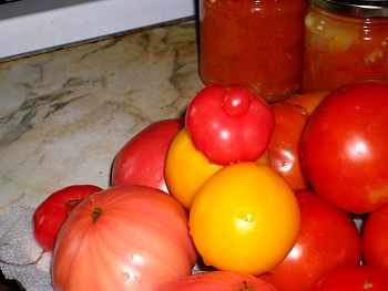Canning04.jpg