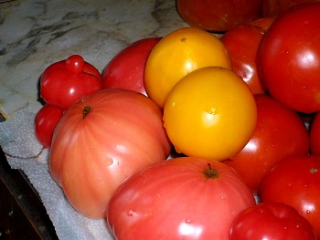 Canning05.jpg