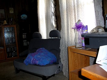 HomeAgain04.jpg
