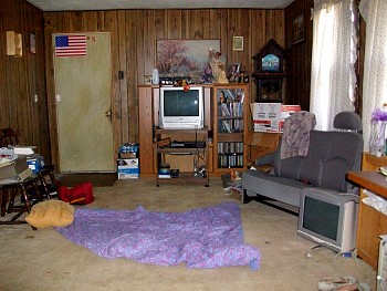 HomeAgain06.jpg