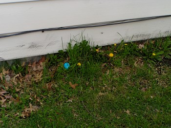 PICT0708.JPG