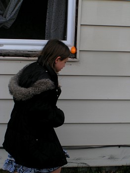 PICT0709.JPG