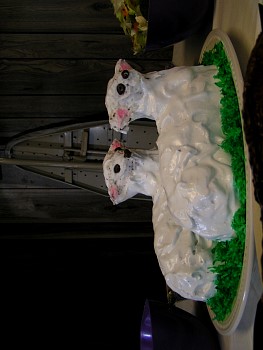 PICT0716.JPG