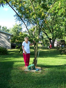 Harriet8311011.JPG