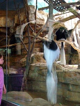 SANY0546.jpg