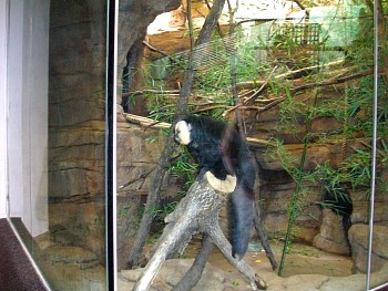 SANY0555.jpg
