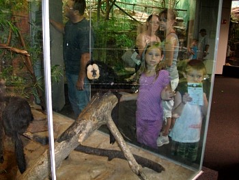 SANY0556.jpg