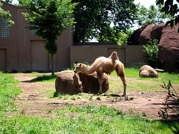 SANY0563.jpg