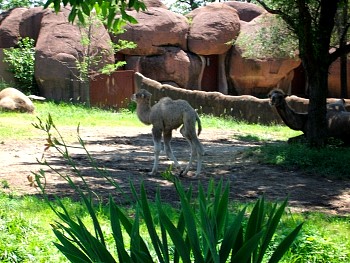 SANY0564.jpg