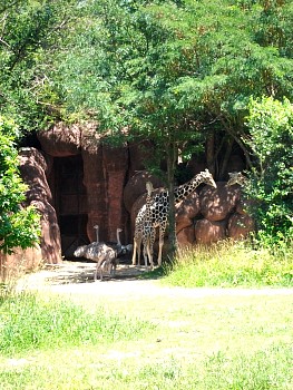 SANY0565.jpg