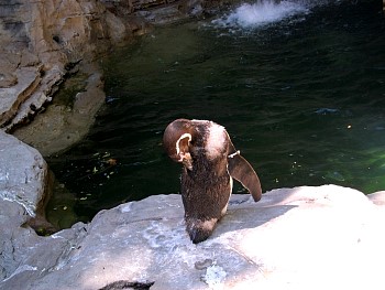 SANY0586.jpg