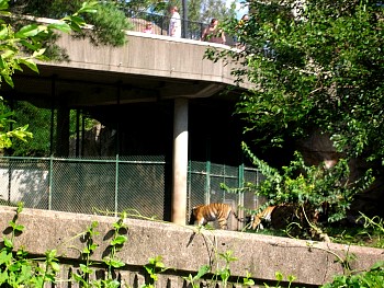 SANY0603.jpg