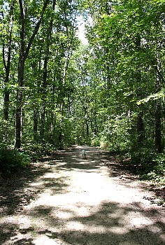 IMG_1707.JPG