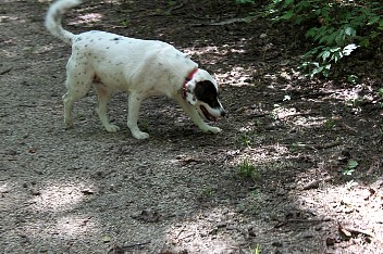 IMG_1711.JPG