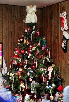 IMG_2270.JPG