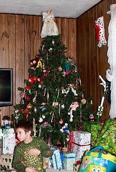 IMG_2354.JPG