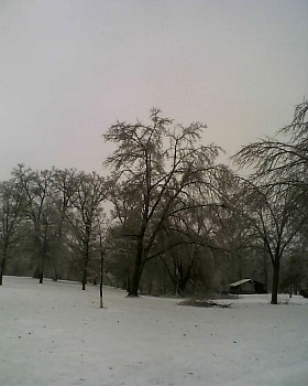 020211_124832.jpg