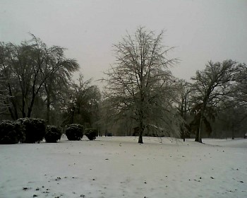020211_125042.jpg