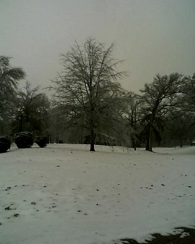 020211_125108.jpg