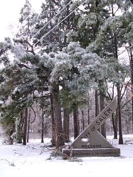 SANY0700.jpg