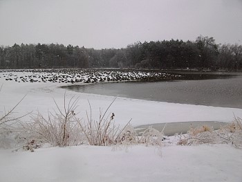 SANY0706.jpg