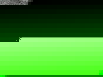 SANY1012.JPG